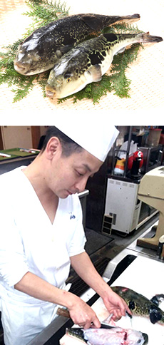 1級品の新鮮なとらふぐを取り扱い、水槽に長期生かさず、すぐにさばくので、いつもいい状態の活きのいいふぐを提供できます！	水槽に長期生かしておきますとふぐのストレスで味が落ちるのです。